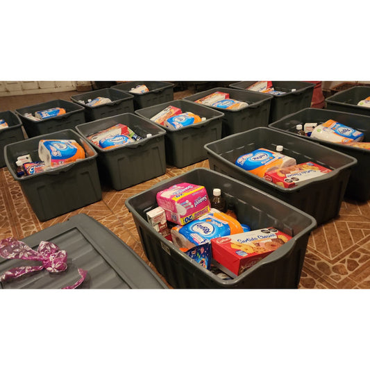 Despensa Navideña Económica En Contenedor Para Toda Familia